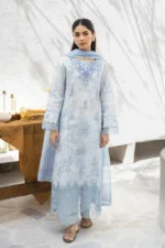 Shezlin Chikankari Ramadan Edit 24 by Aabyaan | MUSHK (AR-10)