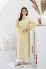 Shezlin Chikankari Ramadan Edit 24 by Aabyaan | SOHA (AR-03)