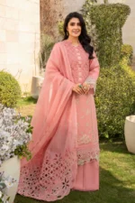 Rang Rasiya Premium Eid Collection 24 | PARISA