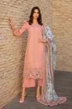 RANG RASIYA CARNATION SUMMER 24 | BELLA