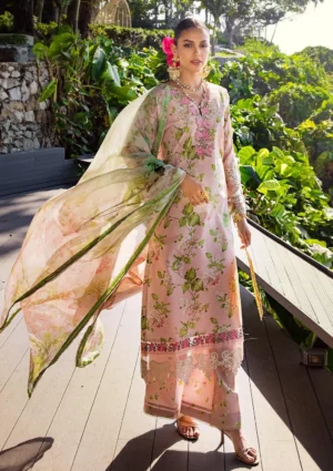 Elaf Signature 24 | ESL-05B DELIGHT DRAPE