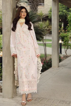 Qalamkar Festive Lawn 24 | PS-03 IRSA