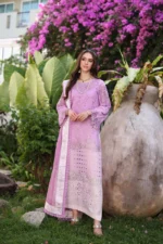 Noor Luxury Chikankari 24 | D9-A