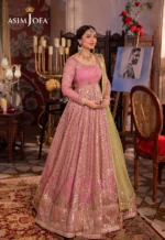 Asim Jofa Chandni Raatein | AJCR-04