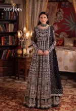 Asim Jofa Chandni Raatein | AJCR-02