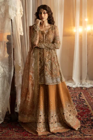 Afrozeh Hayat 24 Wedding Collection | Nooray