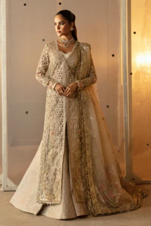 Afrozeh Hayat 24 Wedding Collection | Aniqa