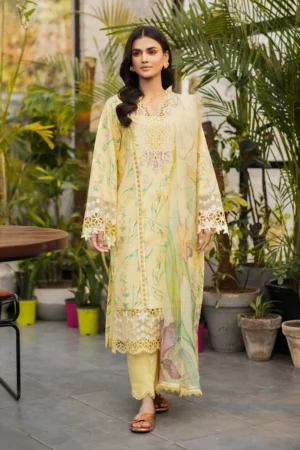 Rang Rasiya Lifestyle Summer Edit 25 | Olivine
