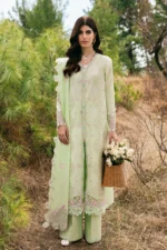 Qalamkar Qlinekari Lawn 2025 | DC-14 Meline