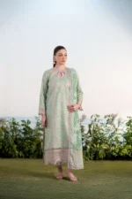Shezlin Chikankari Ramadan Edit' 25 | EBRU AR-16