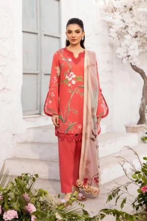 MBasics Elahi Lawn | MB-CUS25-707B