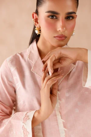 Qalamkar Embroidered Co-ords