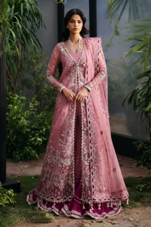 Afrozeh La Fuchsia 25 | Seraira