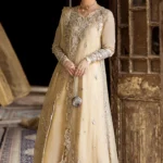 Qalamkar Chiffon Luxury Formals | WC-07 HEELA