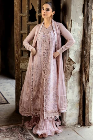 Qalamkar Chiffon Luxury Formals | WC-05 RIONA