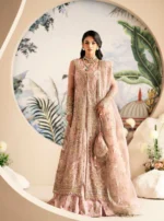 Inayat Festive Formals 25 | Begonia