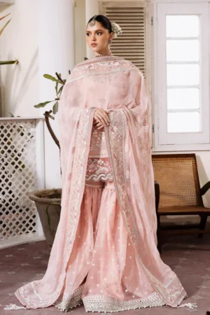 Muse By Serene Luxury Chiffon Collection 25 | S-1080 ROSEE