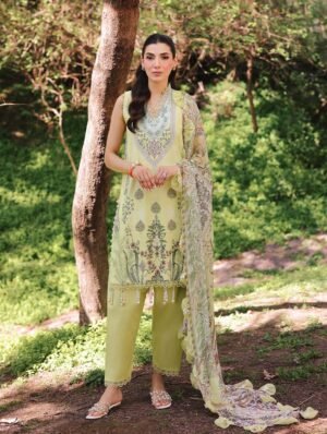 Jade Urbane Chiffon Dupatta 25 | 25-UDC-20721 B