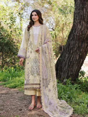 Jade Urbane Chiffon Dupatta 25 | 25-UDC-20723 B