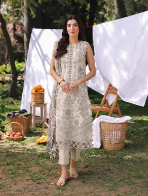 Jade Urbane Chiffon Dupatta 25 | 25-UDC-20728 B