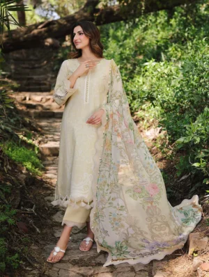 Jade Urbane Chiffon Dupatta 25 | 25-UDC-20729 B