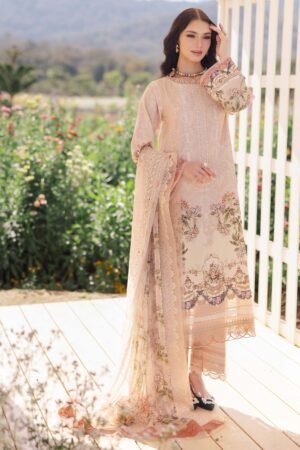 Jade Needle Wonder 2025 |  25-NW-20740