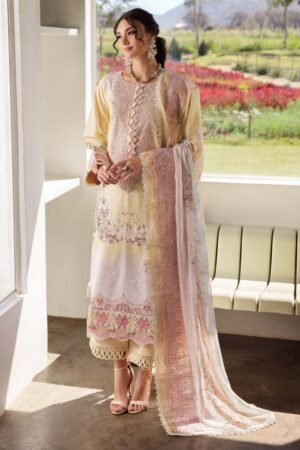 Jade Needle Wonder 2025 |  25-NW-20742