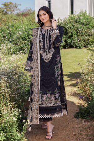 Jade Needle Wonder 2025 |  25-NW-20746