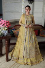 Gulmina Luxury Chiffons 25 | Ayeza